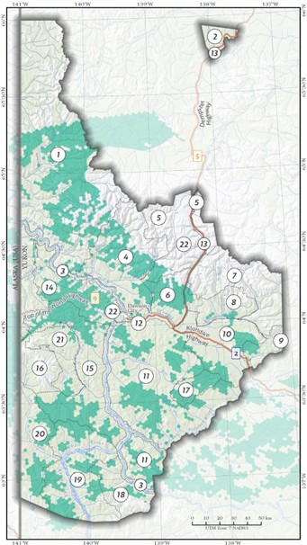 Winter caribou habitat overlay